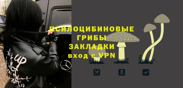 мяу мяу мука Баксан