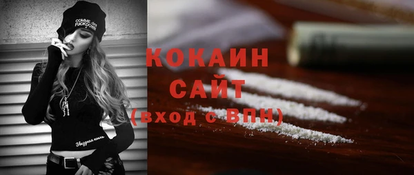 прущие грибы Аркадак
