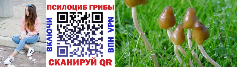 МЕГА ссылки  наркота  Райчихинск  это клад  Псилоцибиновые грибы мухоморы 